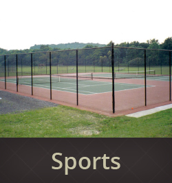 Sports Fences